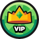 V.I.P